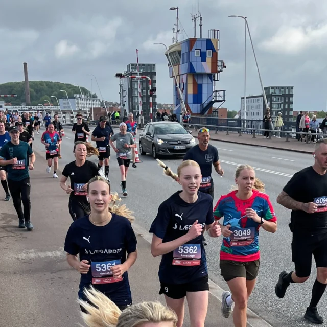 I weekenden var Lægården fint repræsenteret til @aalborghalvmarathon, hvor disse 4 seje løbere kæmpede sig igennem de 21 km på de smukke gader i nordens Paris😄🏃🏃‍♀️
Stort tillykke med de flotte resultater💪😊
