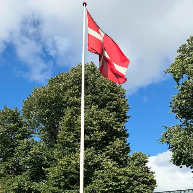 Søndag - flere billeder fra “Første skoledag” 25/26♥️